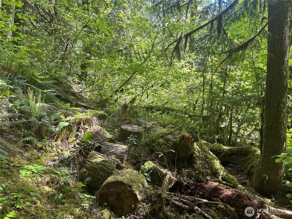 64017 E Cascade Drive Marblemount WA 98267