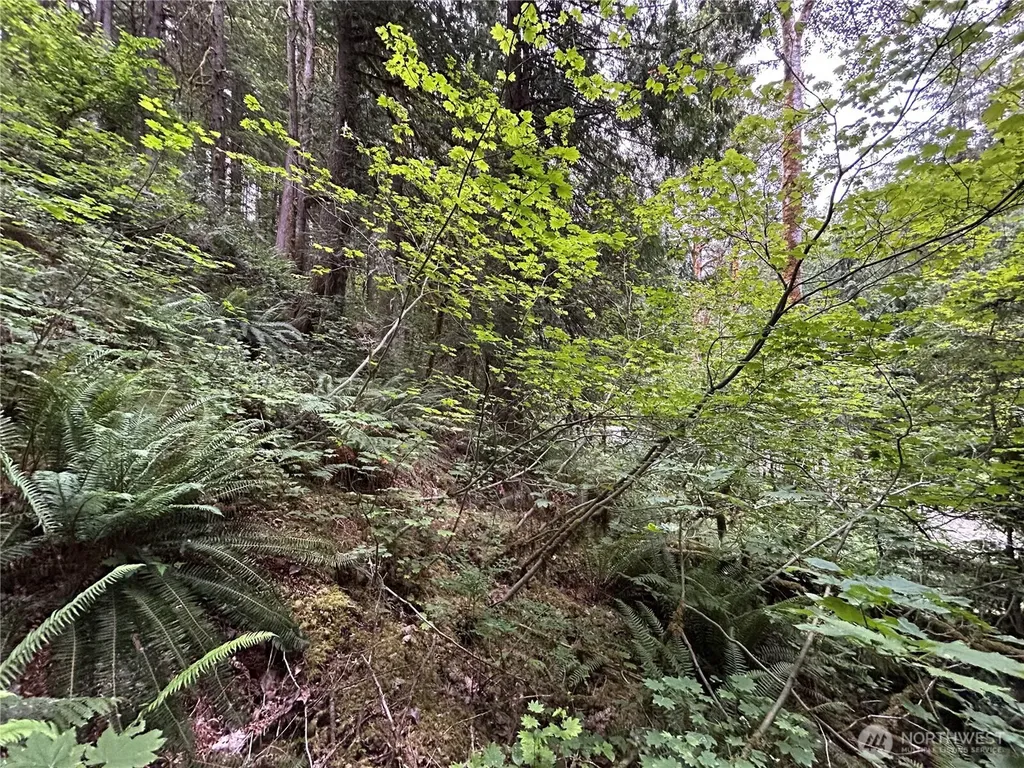 64017 E Cascade Drive Marblemount WA 98267