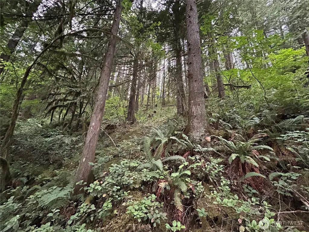 64017 E Cascade Drive Marblemount WA 98267