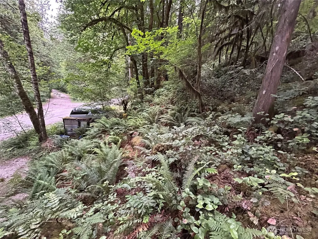 64017 E Cascade Drive Marblemount WA 98267