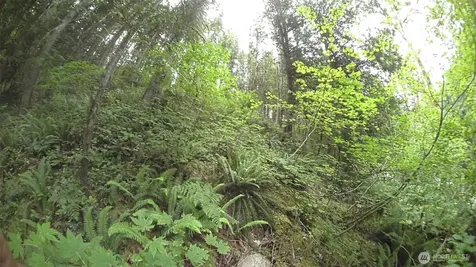 64017 E Cascade Drive Marblemount WA 98267