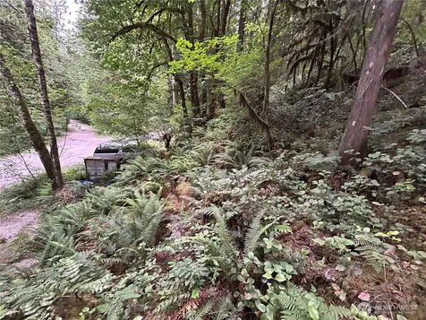 64017 E Cascade Drive Marblemount WA 98267