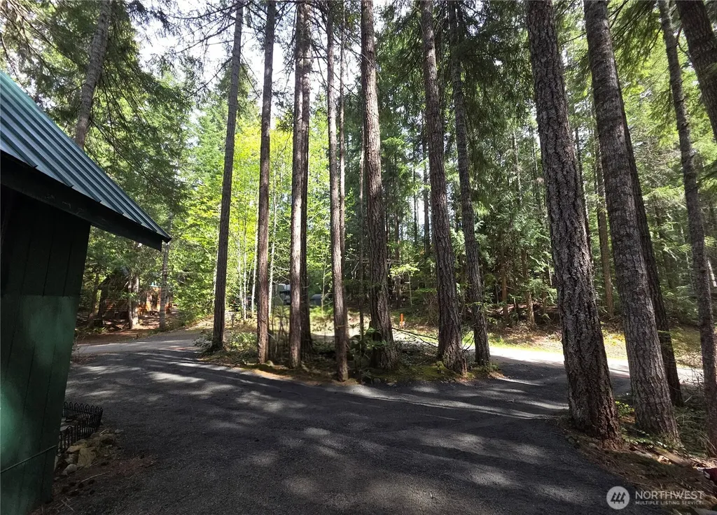 41 N Mt Rose Avenue Hoodsport WA 98548
