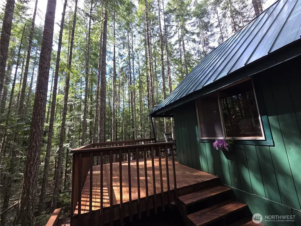 41 N Mt Rose Avenue Hoodsport WA 98548