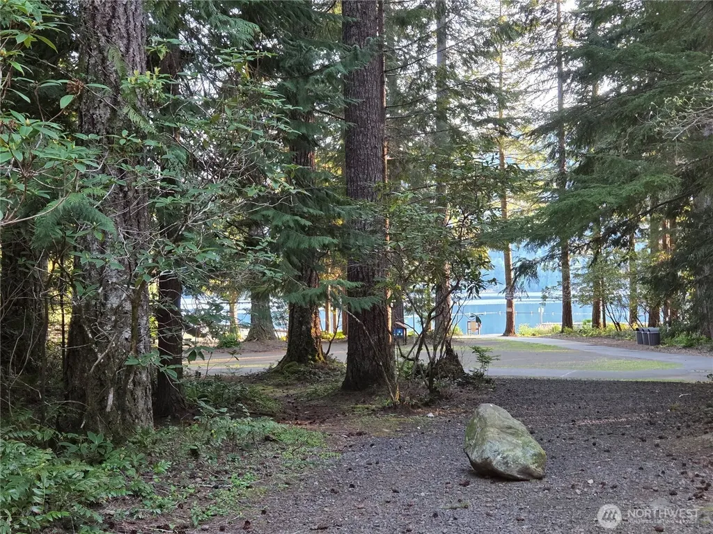 41 N Mt Rose Avenue Hoodsport WA 98548