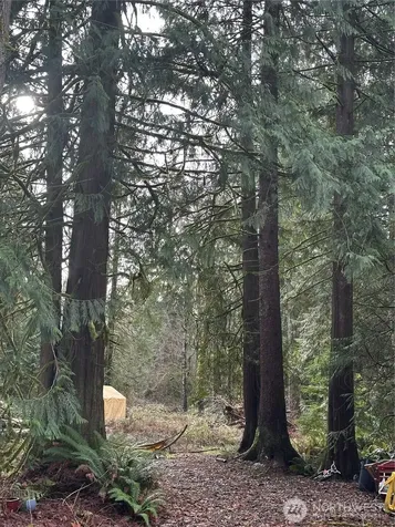 13420 74th Street NE Lake Stevens WA 98258