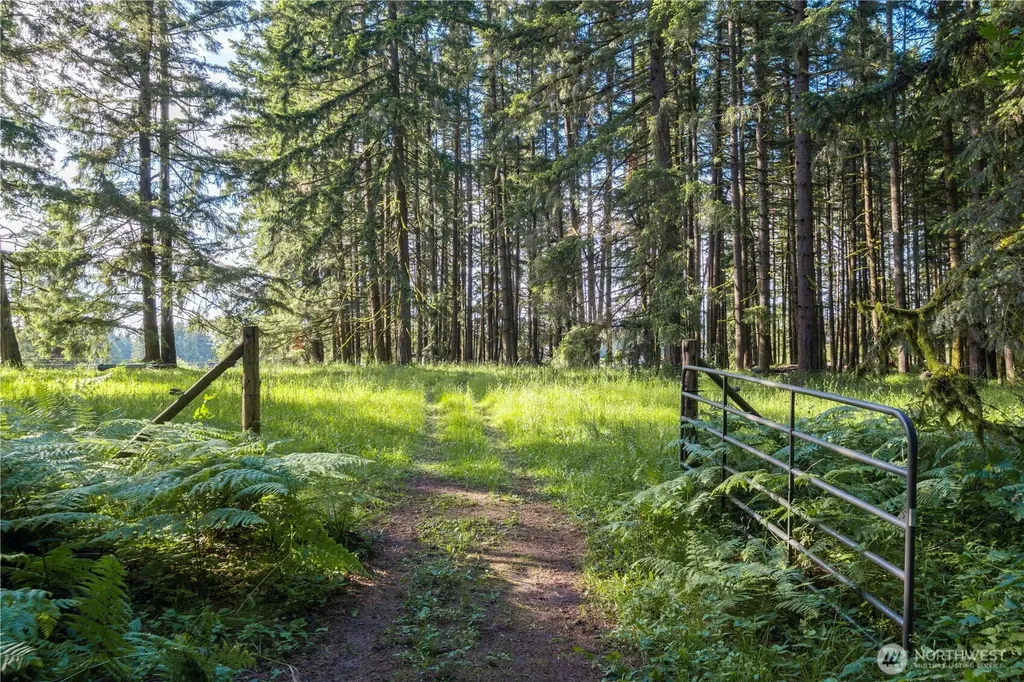 258 Antrim Road Winlock WA 98596