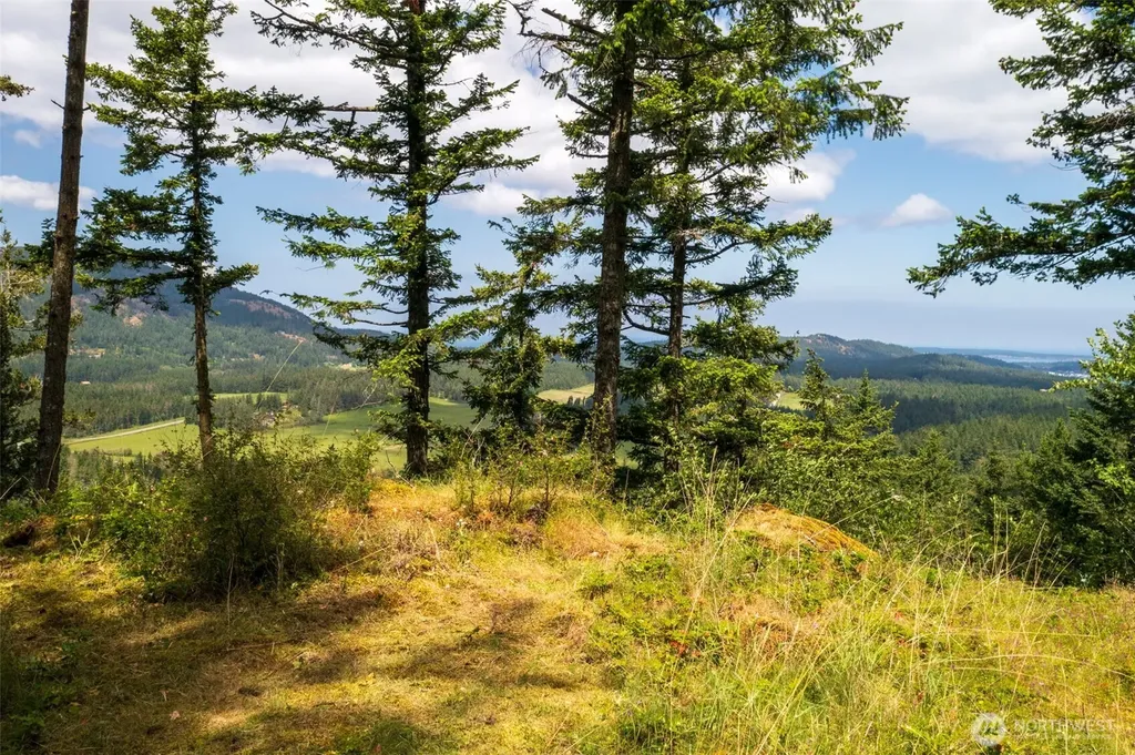 1700 Mountain Crest Orcas Island WA 98245
