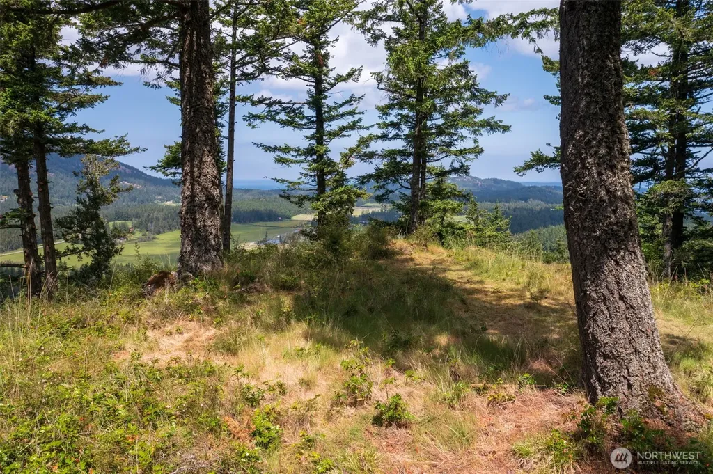 1700 Mountain Crest Orcas Island WA 98245