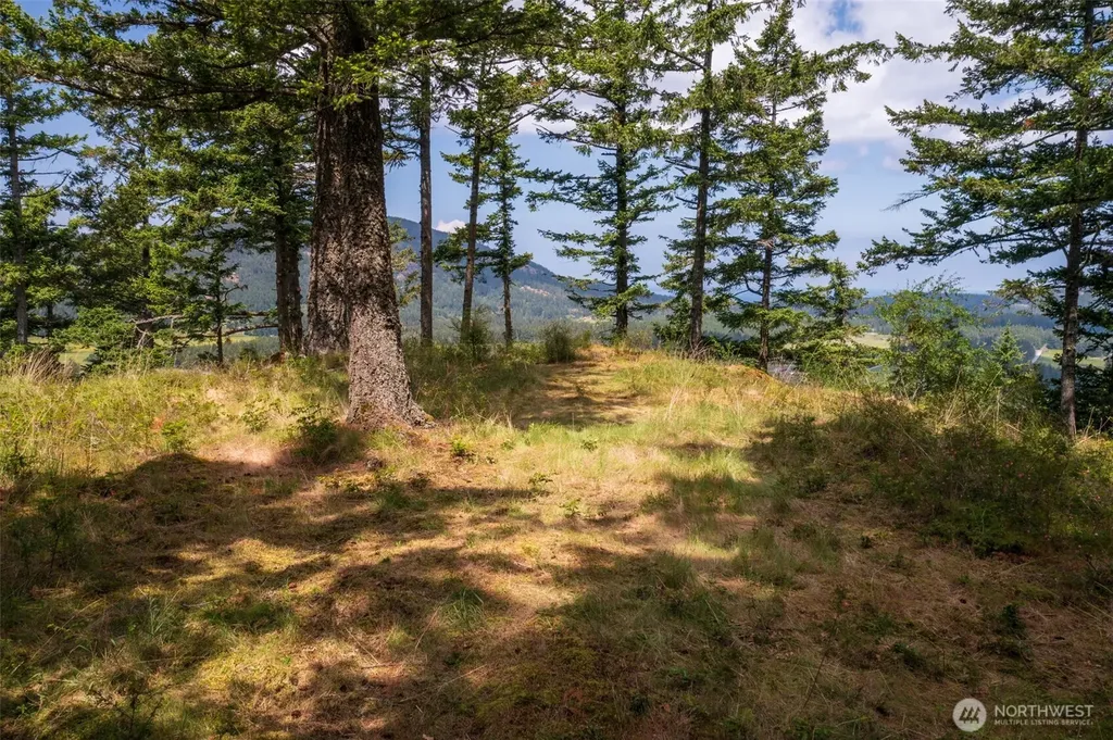 1700 Mountain Crest Orcas Island WA 98245