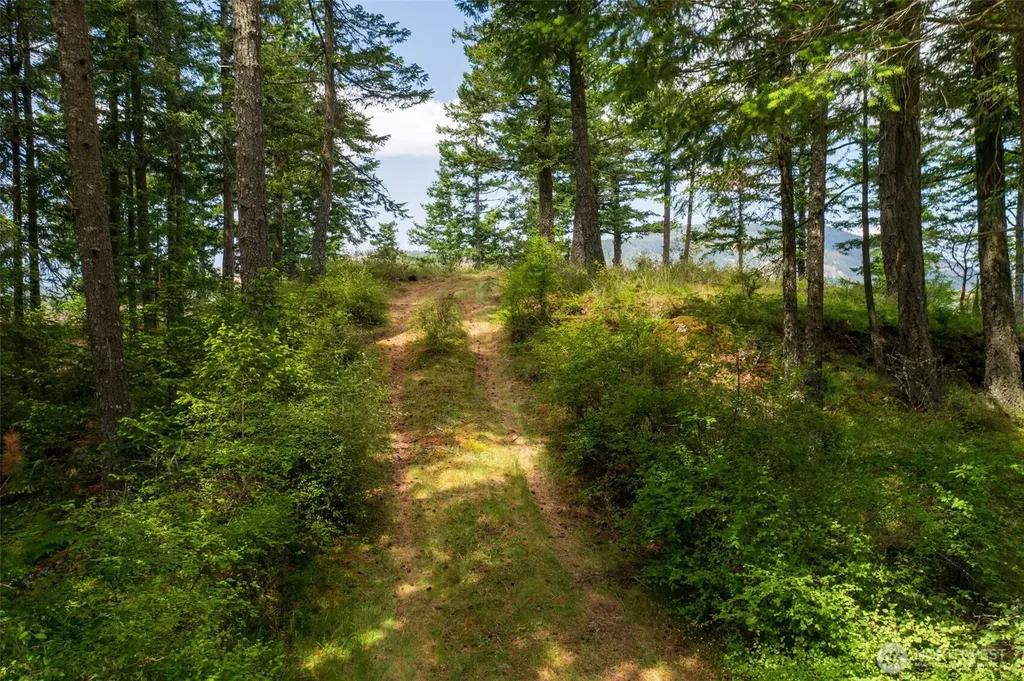 1700 Mountain Crest Orcas Island WA 98245