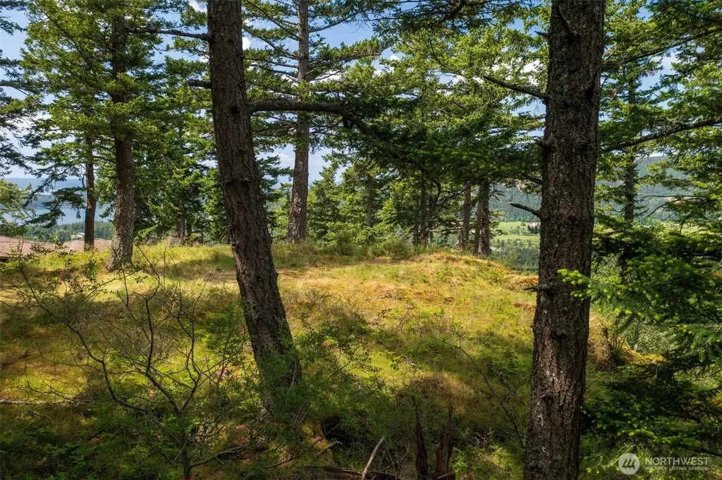 1700 Mountain Crest Orcas Island WA 98245