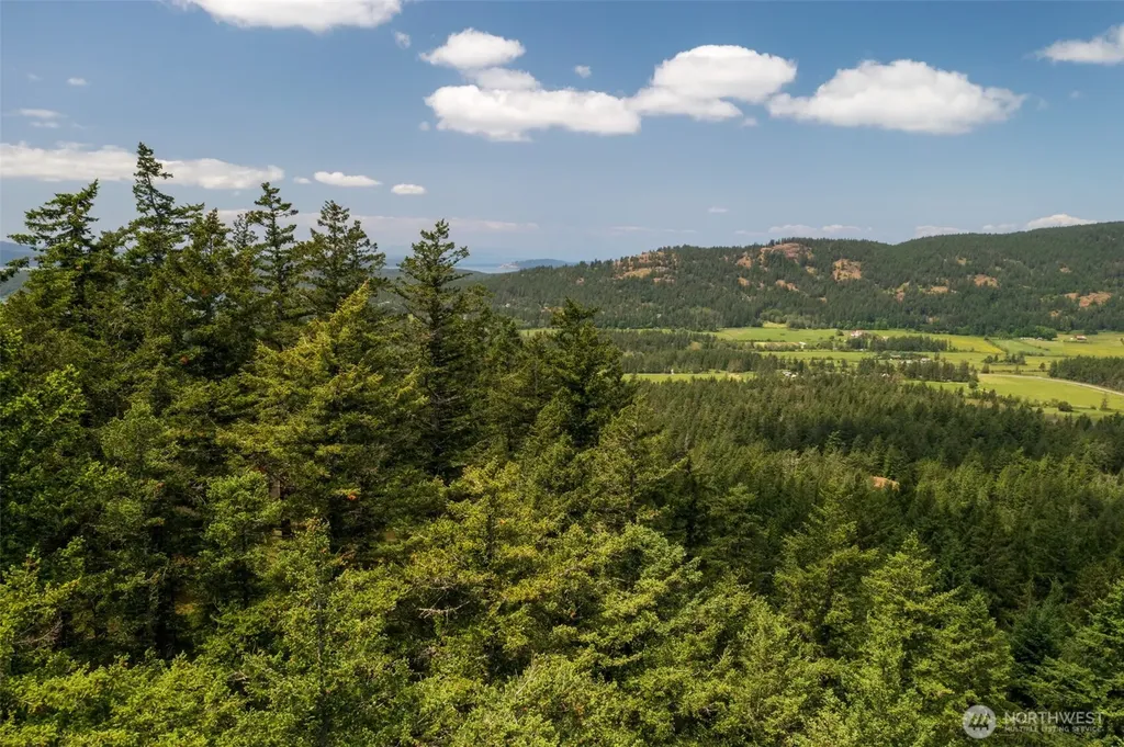1700 Mountain Crest Orcas Island WA 98245