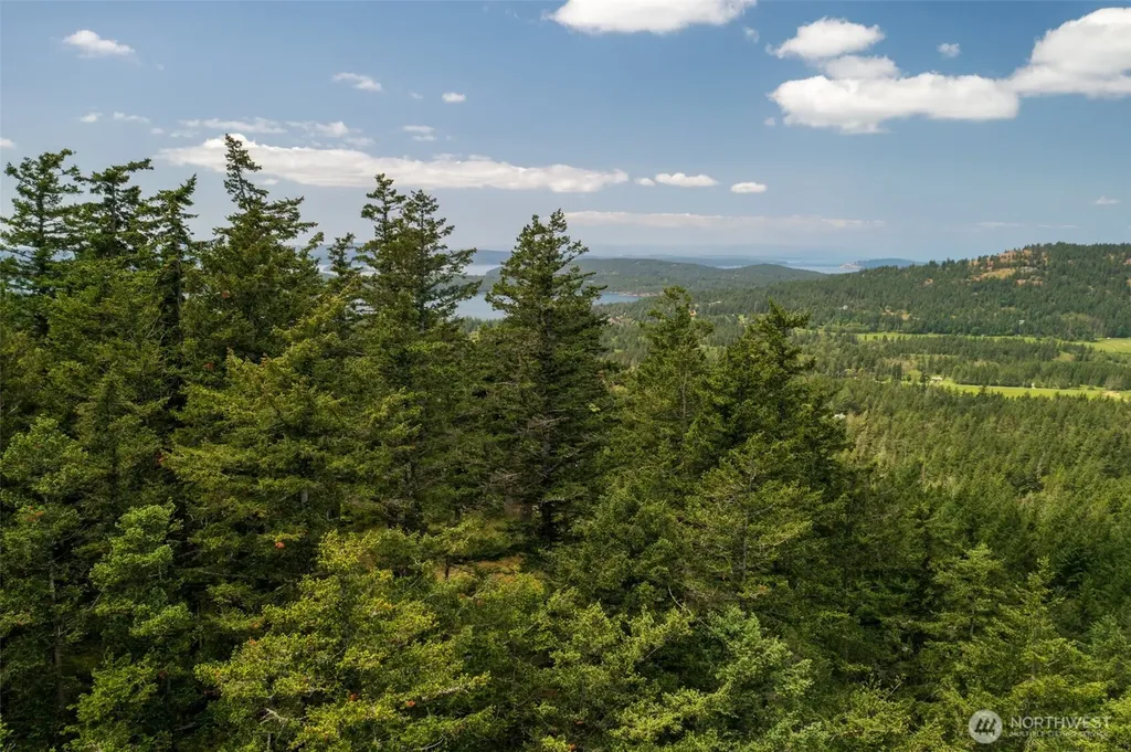 1700 Mountain Crest Orcas Island WA 98245