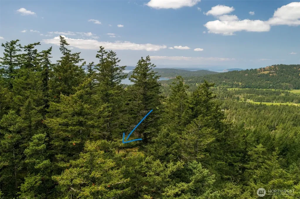 1700 Mountain Crest Orcas Island WA 98245
