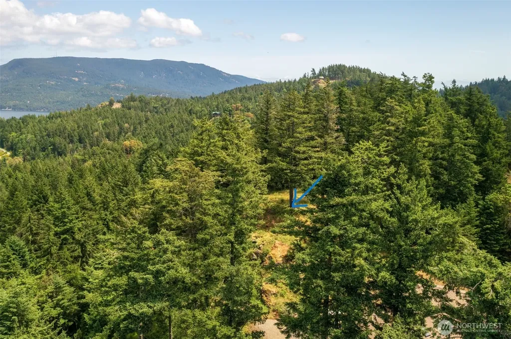 1700 Mountain Crest Orcas Island WA 98245