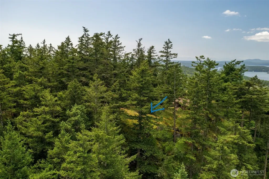 1700 Mountain Crest Orcas Island WA 98245