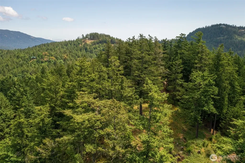 1700 Mountain Crest Orcas Island WA 98245