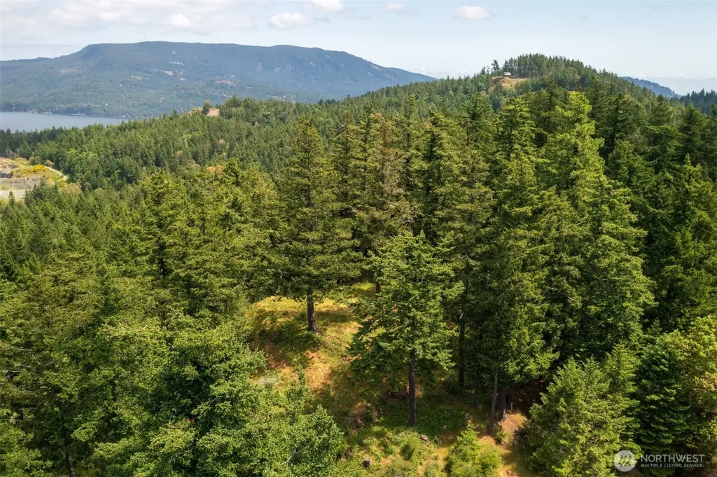 1700 Mountain Crest Orcas Island WA 98245