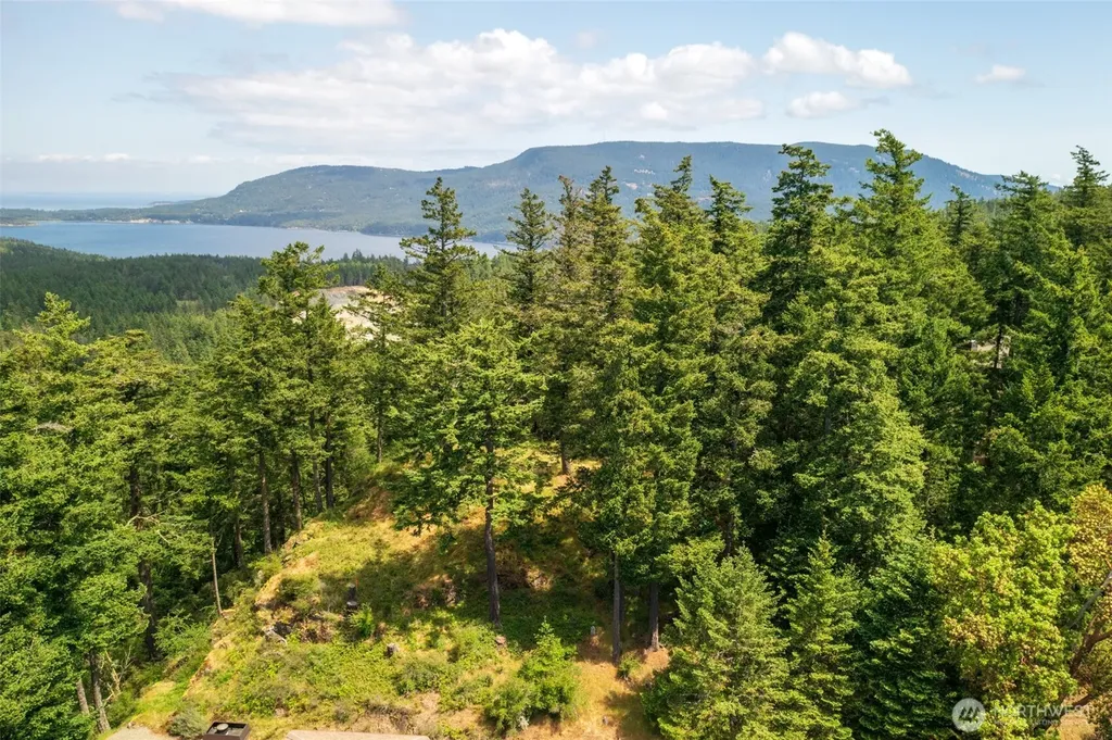 1700 Mountain Crest Orcas Island WA 98245