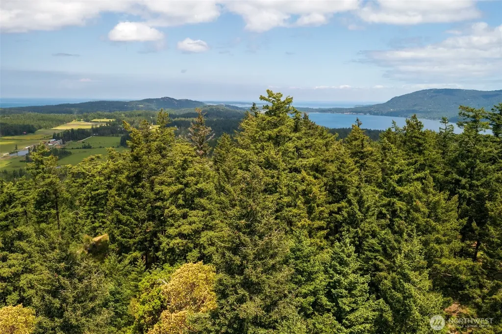 1700 Mountain Crest Orcas Island WA 98245
