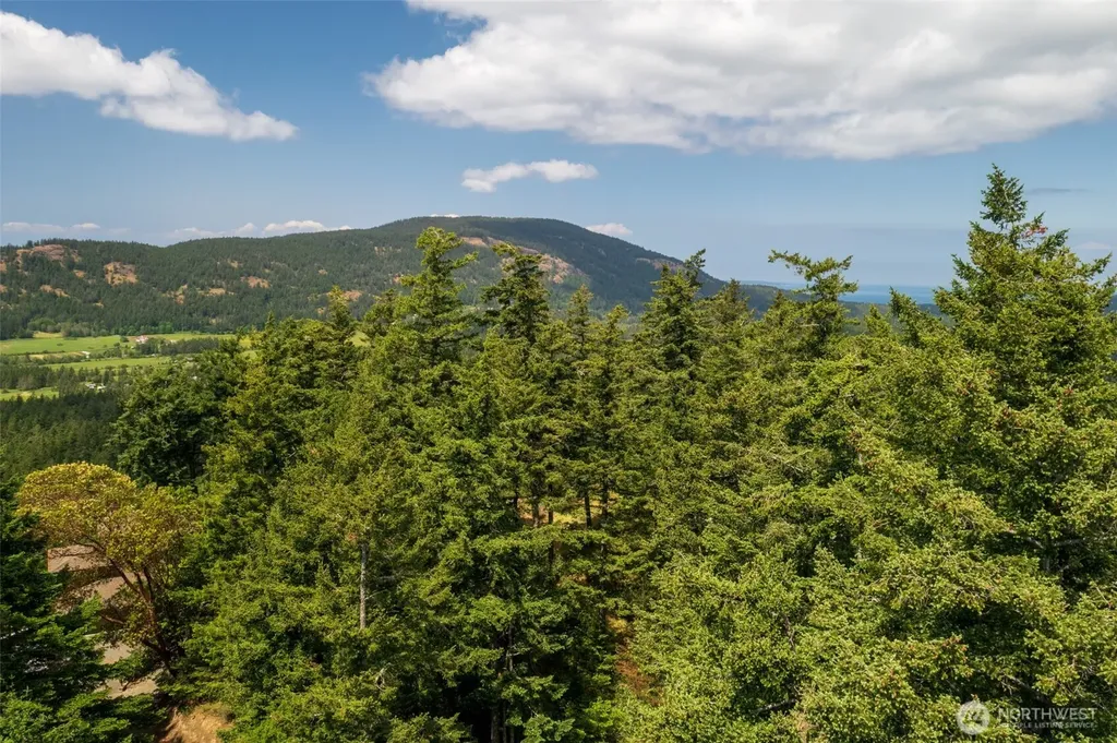1700 Mountain Crest Orcas Island WA 98245
