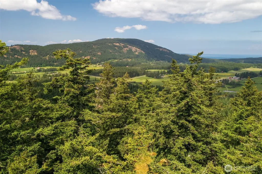 1700 Mountain Crest Orcas Island WA 98245