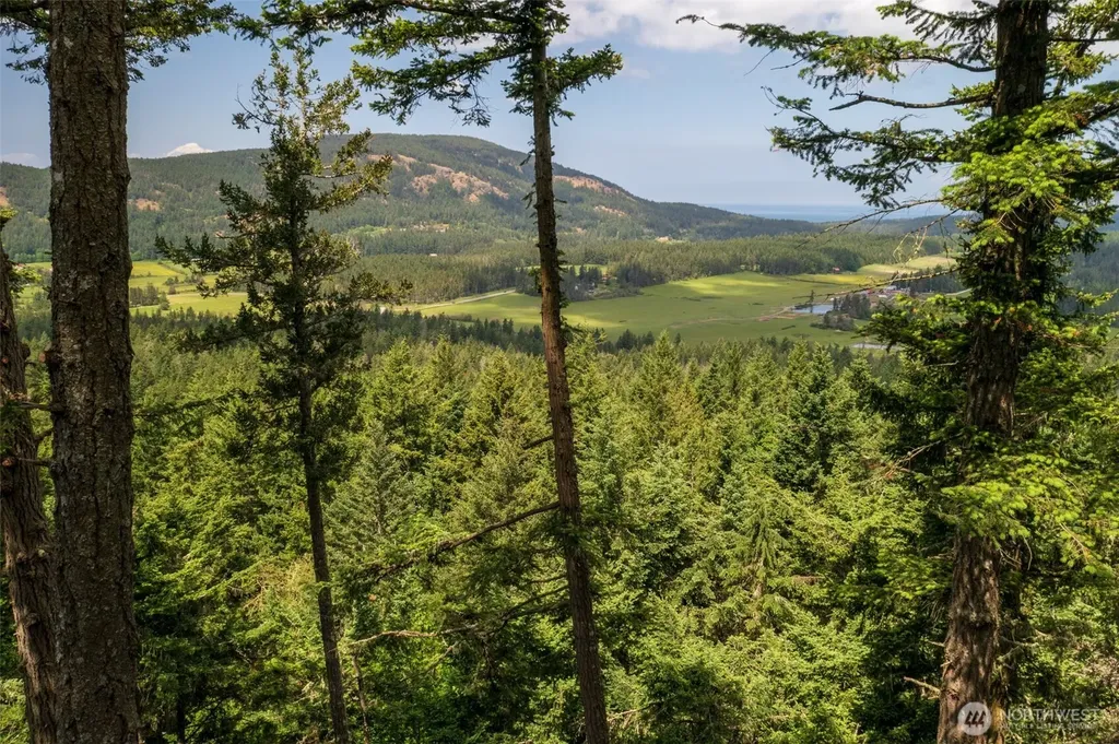 1700 Mountain Crest Orcas Island WA 98245