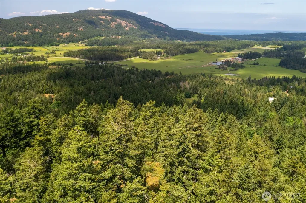 1700 Mountain Crest Orcas Island WA 98245