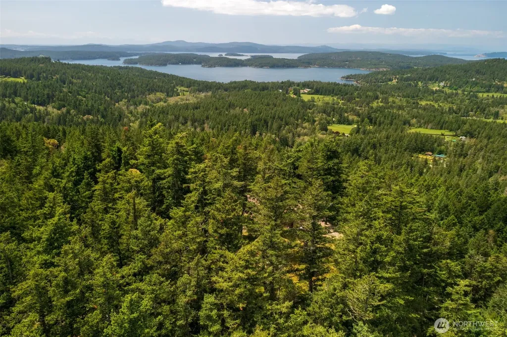 1700 Mountain Crest Orcas Island WA 98245