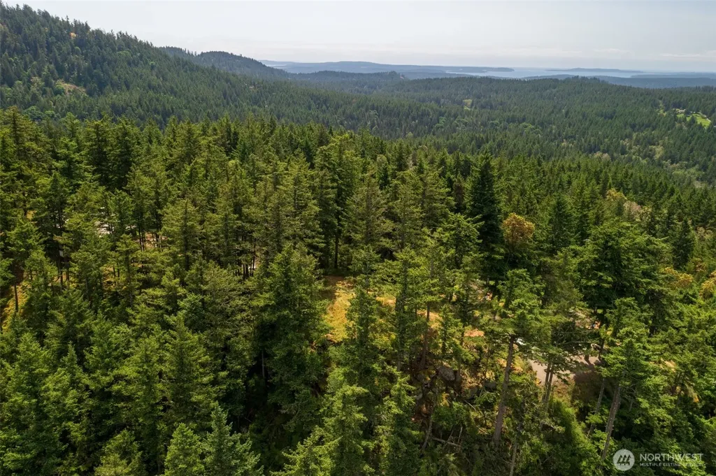 1700 Mountain Crest Orcas Island WA 98245
