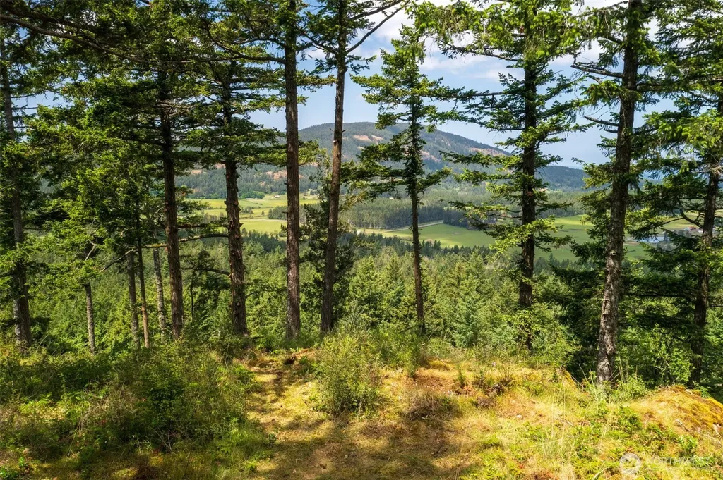 1700 Mountain Crest Orcas Island WA 98245