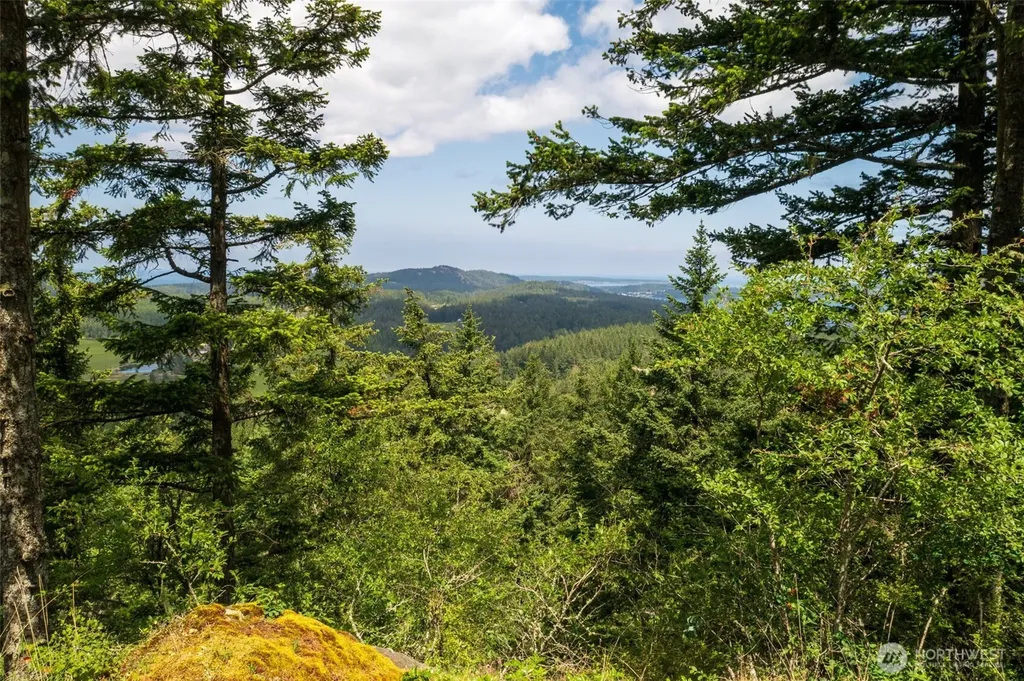 1700 Mountain Crest Orcas Island WA 98245
