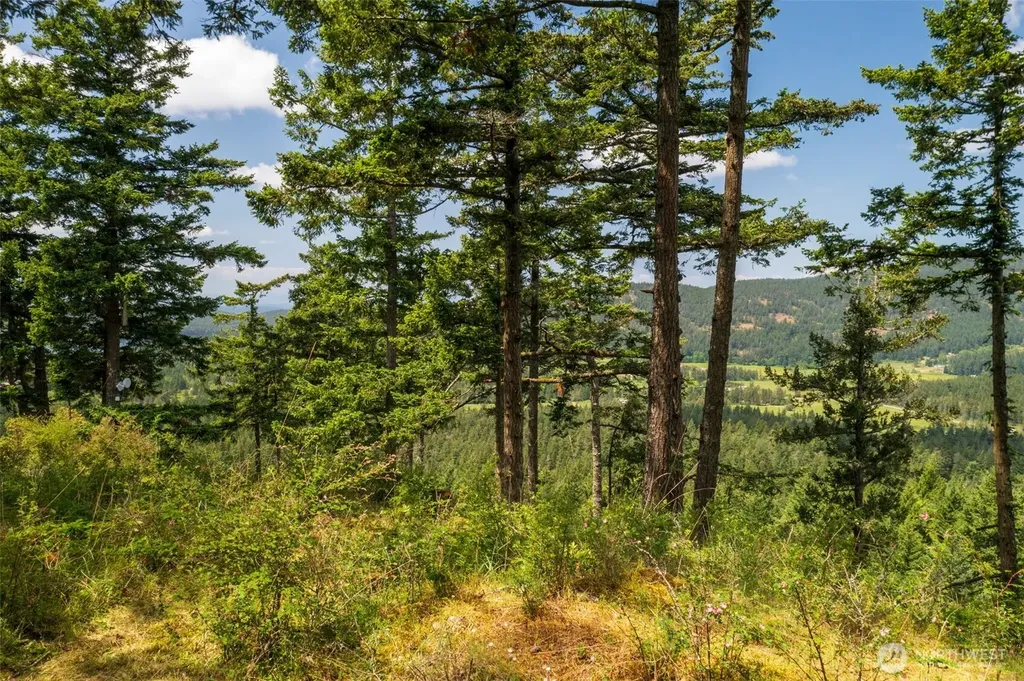 1700 Mountain Crest Orcas Island WA 98245