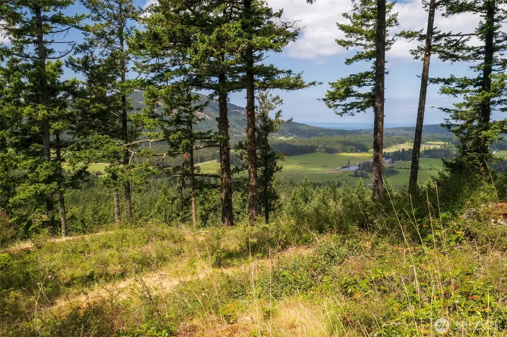 1700 Mountain Crest Orcas Island WA 98245