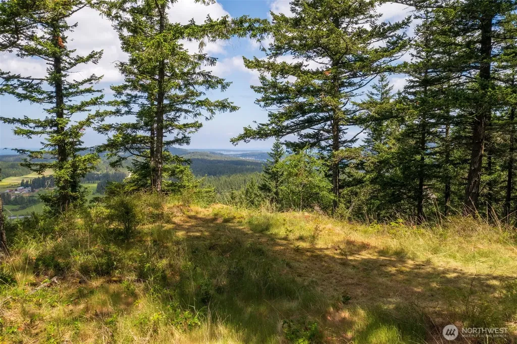 1700 Mountain Crest Orcas Island WA 98245