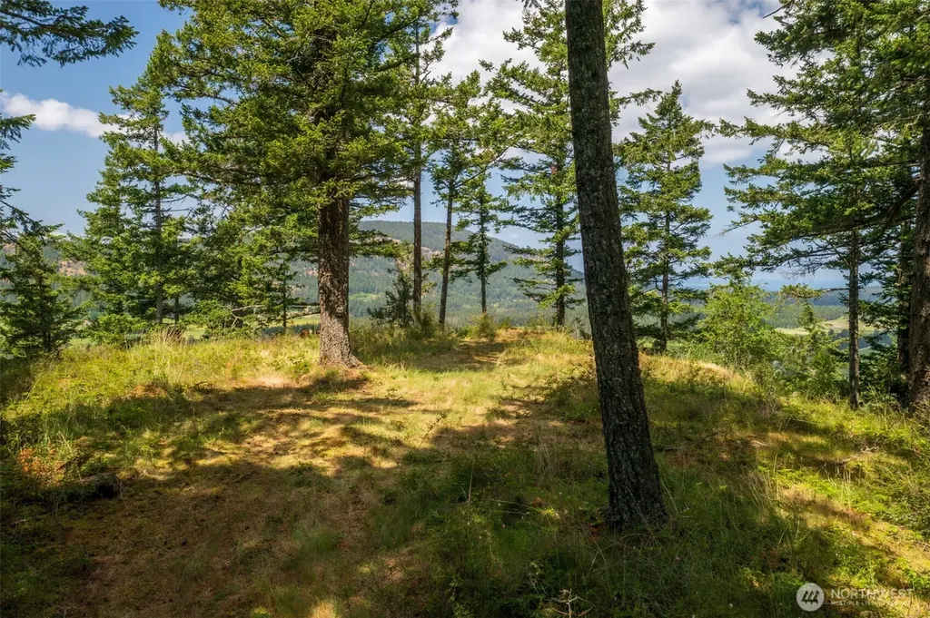 1700 Mountain Crest Orcas Island WA 98245