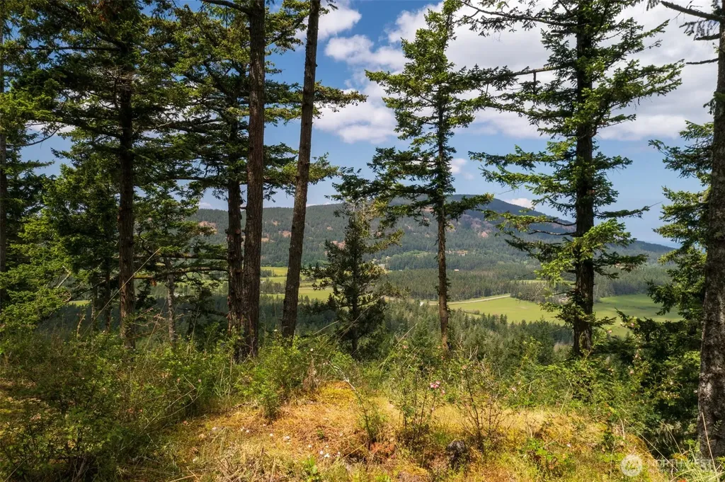 1700 Mountain Crest Orcas Island WA 98245