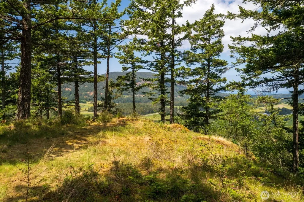 1700 Mountain Crest Orcas Island WA 98245