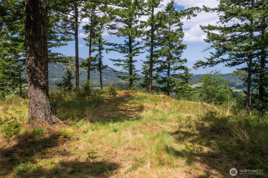 1700 Mountain Crest Orcas Island WA 98245