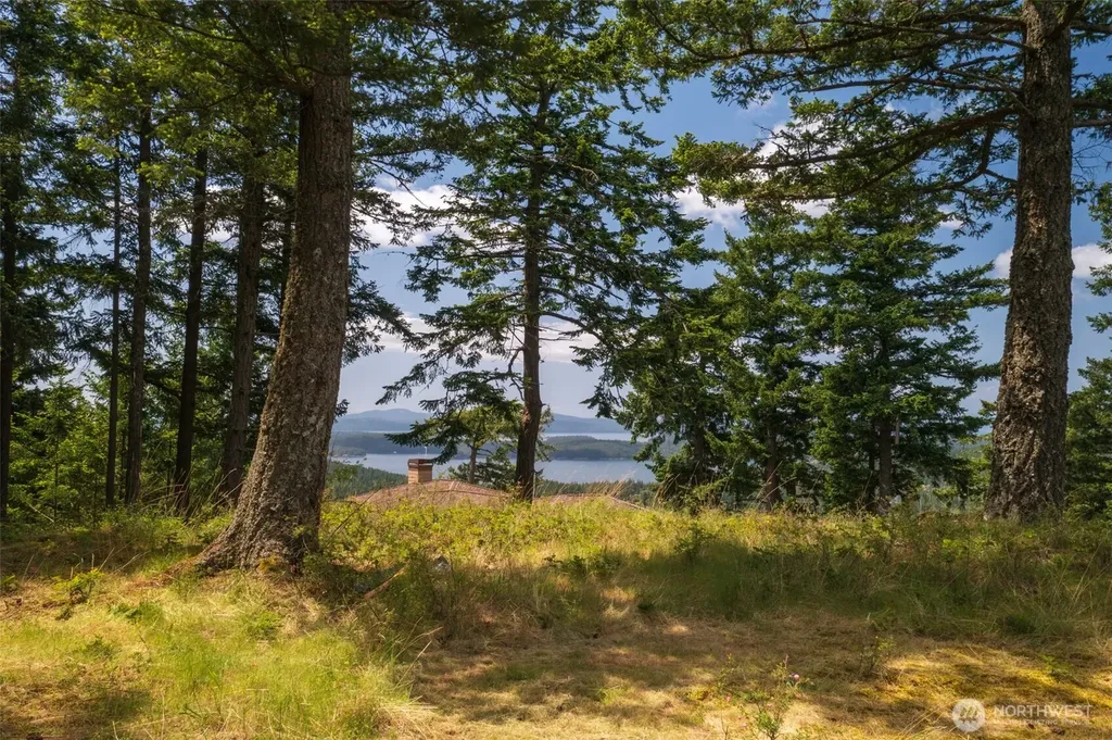 1700 Mountain Crest Orcas Island WA 98245