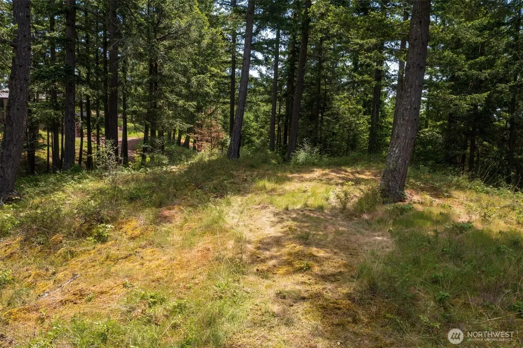 1700 Mountain Crest Orcas Island WA 98245