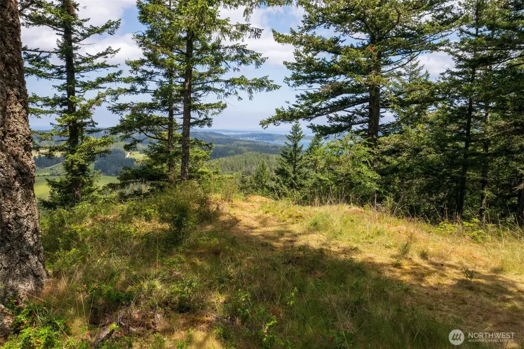 1700 Mountain Crest Orcas Island WA 98245