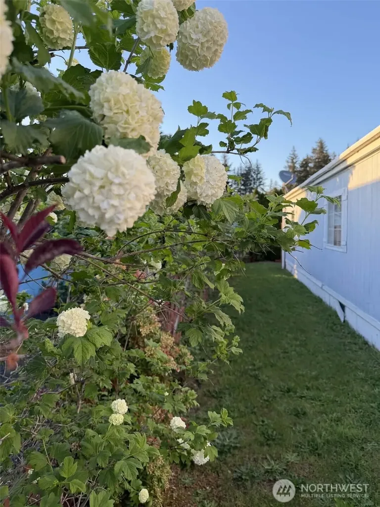 11 Donder Road Shelton WA 98584