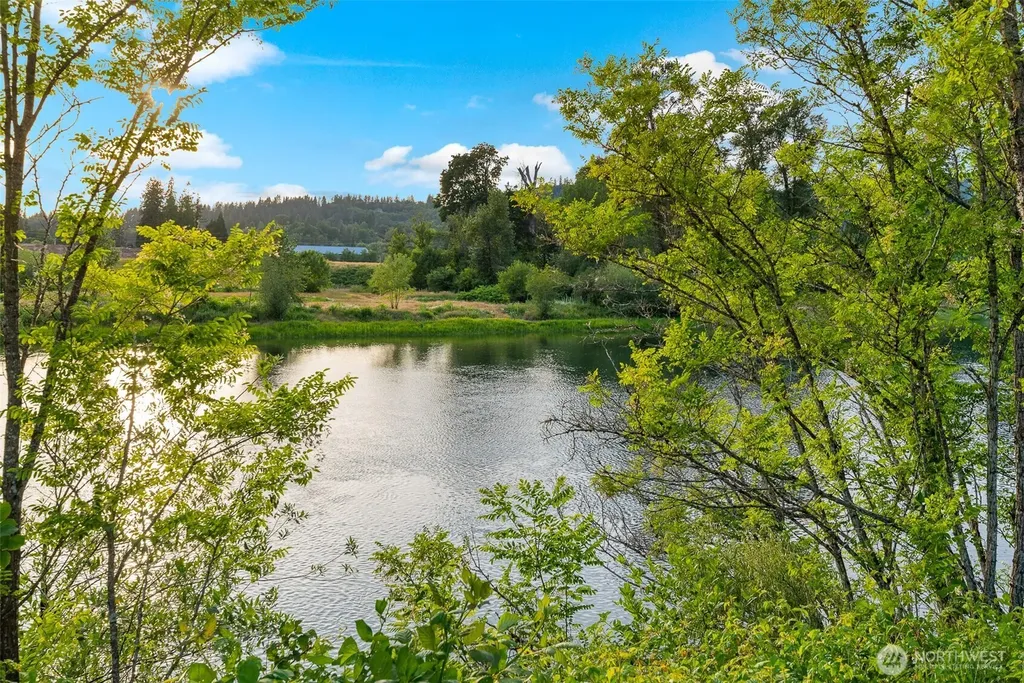 4311 NW 419th Woodland WA 98674