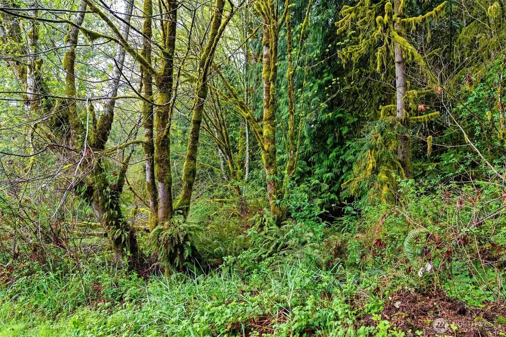 30 Belle Lane Mccleary WA 98557