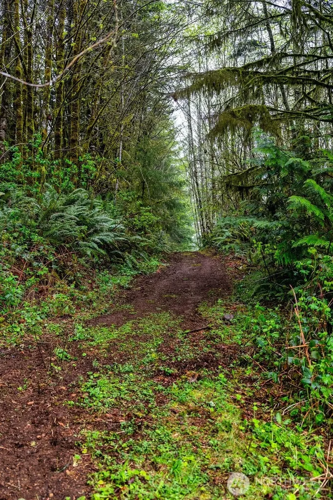 30 Belle Lane Mccleary WA 98557