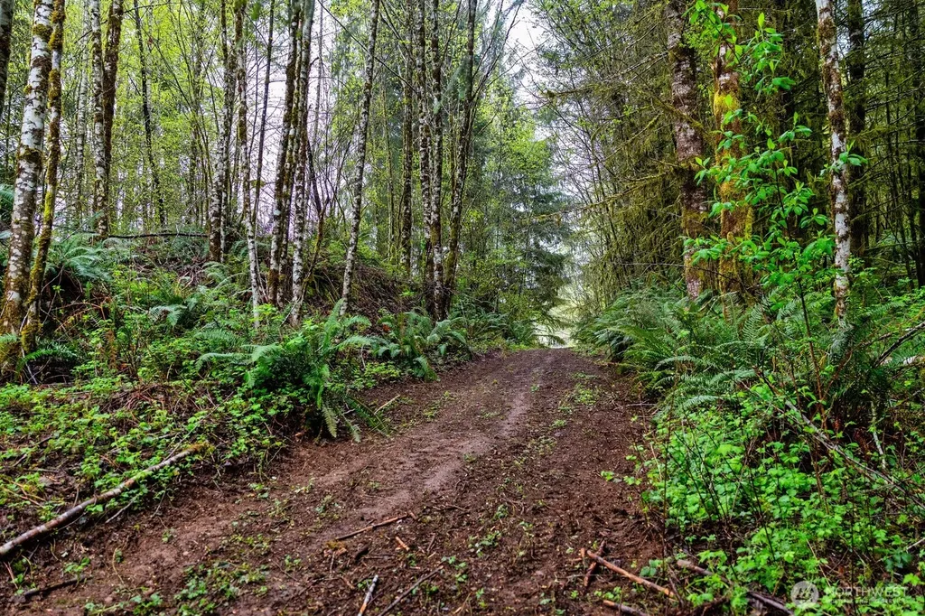 30 Belle Lane Mccleary WA 98557