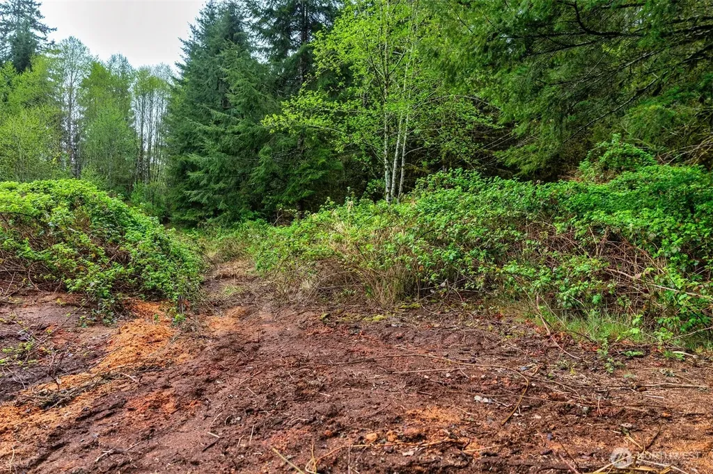 30 Belle Lane Mccleary WA 98557