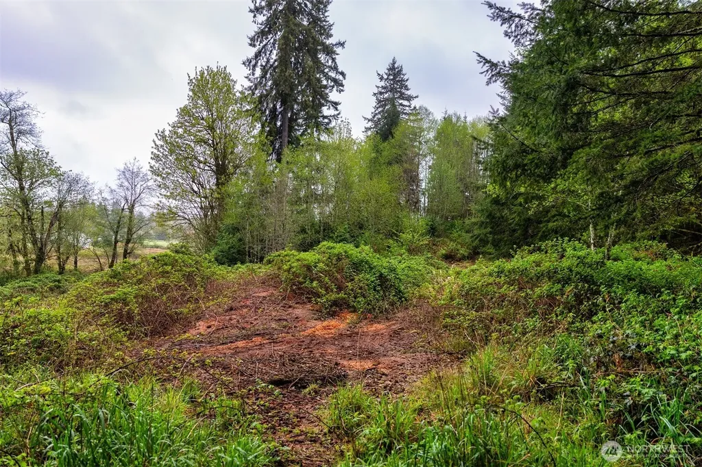 30 Belle Lane Mccleary WA 98557